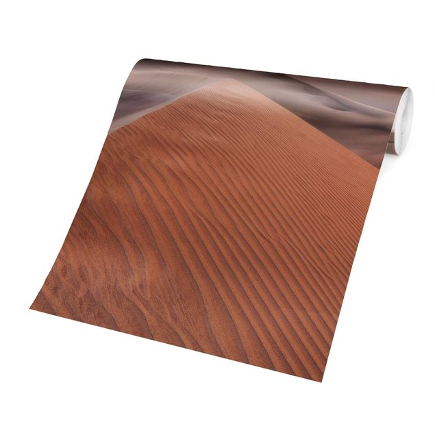 Wallpapers desert View Of Dunes