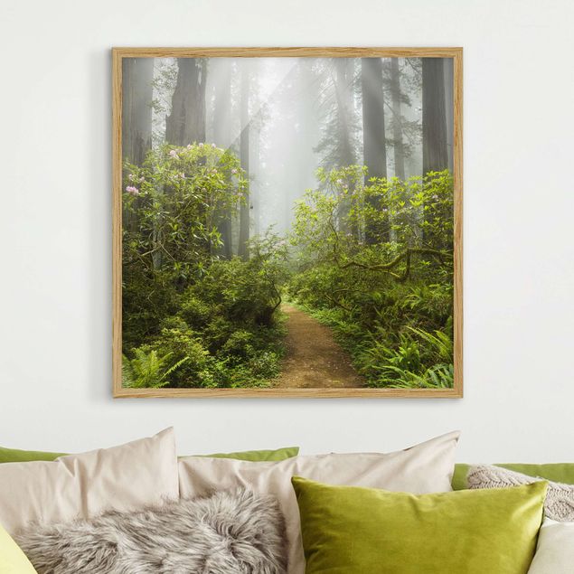 Kitchen Misty Forest Path
