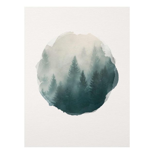 Glass prints landscape WaterColours - Coniferous Forest In Fog