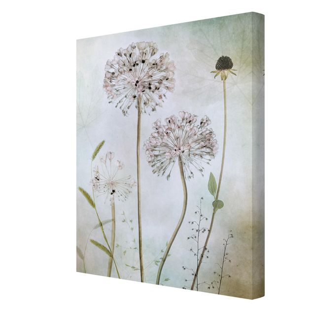 Canvas prints Allium flowers in pastel