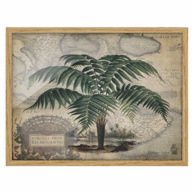 Prints vintage Vintage Collage - Palm And World Map