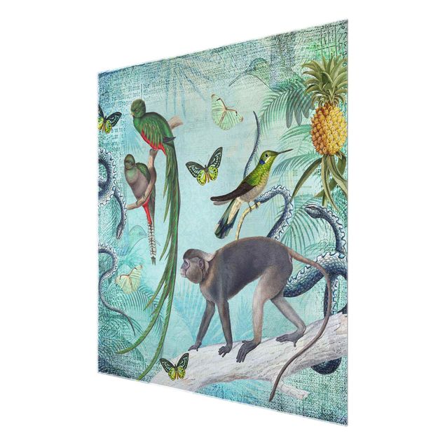 Green canvas wall art Colonial Style Collage - Monkeys And Birds Of Paradise