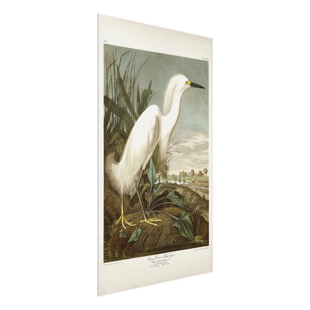 Sea prints Vintage Board White Heron I