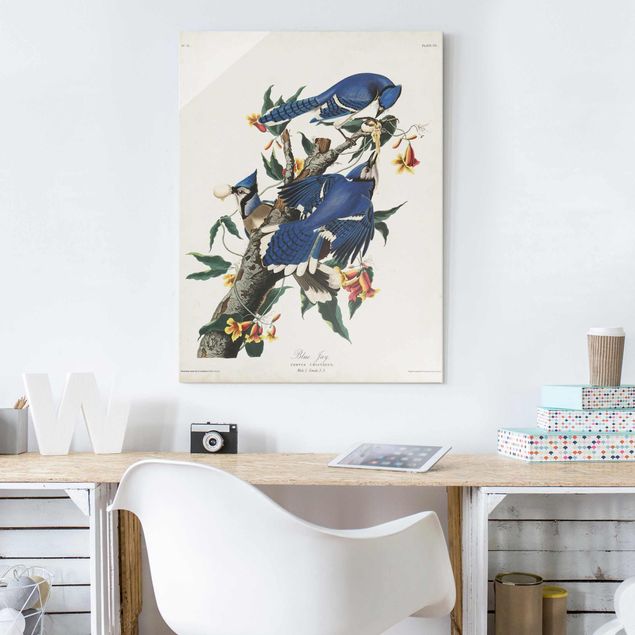 Floral canvas Vintage Board Blue Jays