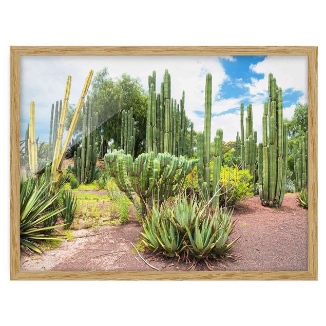 Floral prints Cactus Landscape