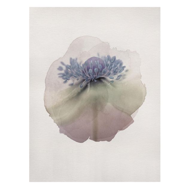 Prints WaterColours - Anemone In Violet