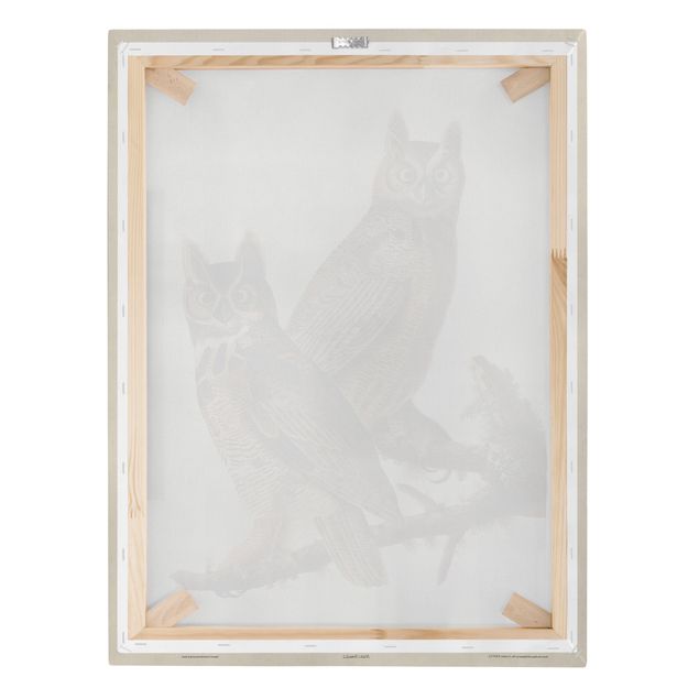 Prints Vintage Board Two Large Owls