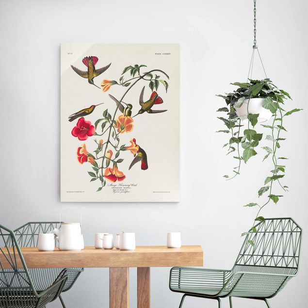 Glass prints flower Vintage Board Mango Hummingbirds
