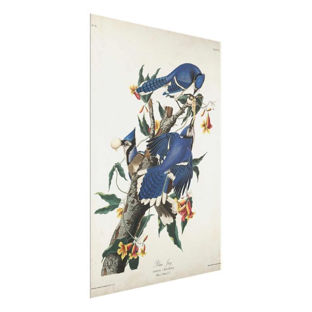 Floral picture Vintage Board Blue Jays