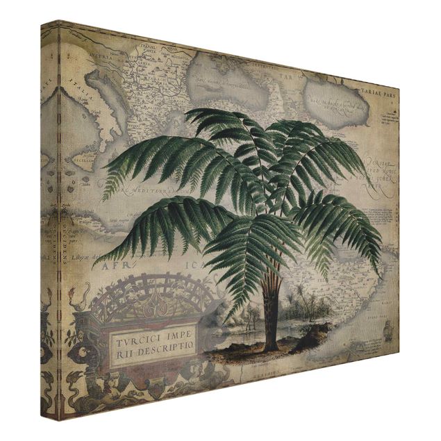 Canvas art Vintage Collage - Palm And World Map