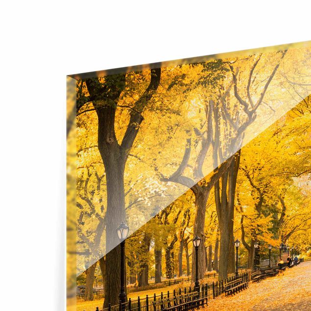 Orange art print Autumn In Central Park