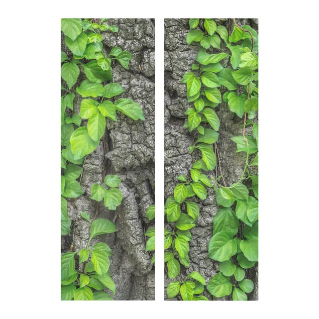 Mountain canvas wall art Ivy Tendrils Tree Bark