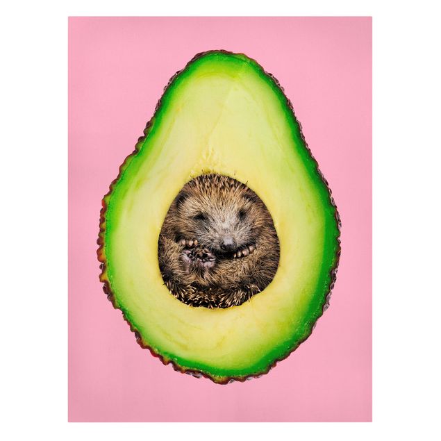 Fruit canvas Avocado With Hedgehog