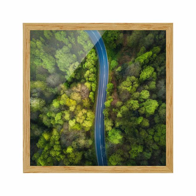 Contemporary art prints Aerial View - Asphalt Road In The Forest