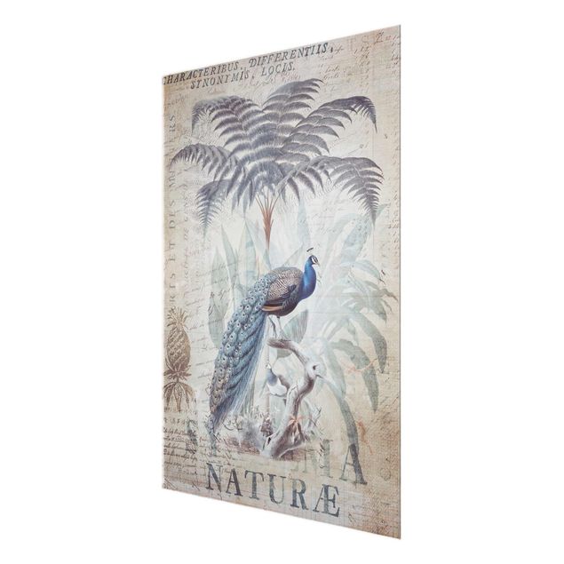 Andrea Haase Shabby Chic Collage - Peacock