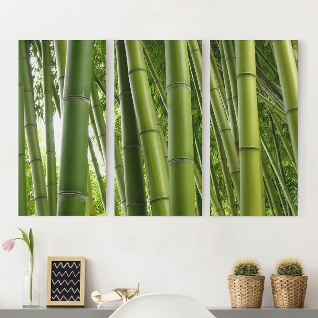 Kitchen Bamboo Trees
