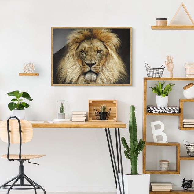 Animal canvas Wisdom Of Lion