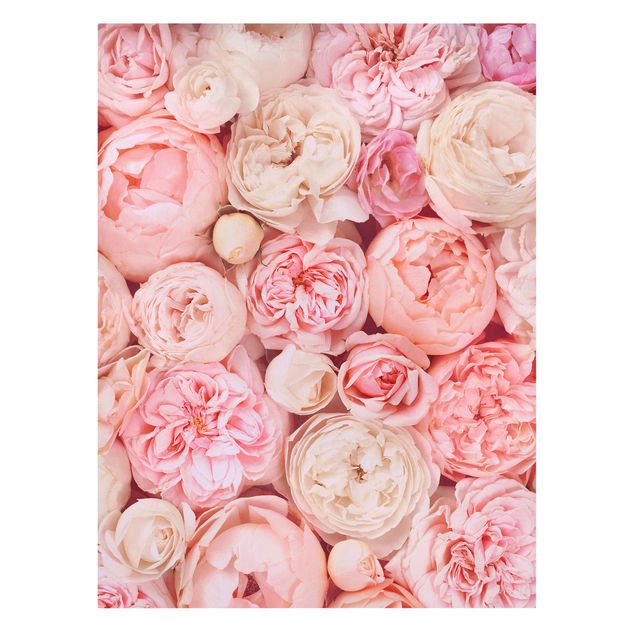 Modern art prints Roses Rosé Coral Shabby