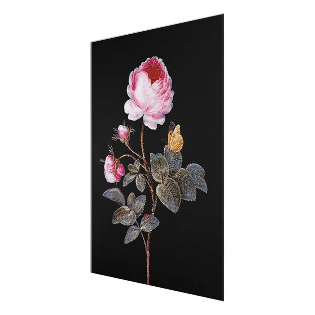 Glass prints flower Barbara Regina Dietzsch - The Hundred-Petalled Rose