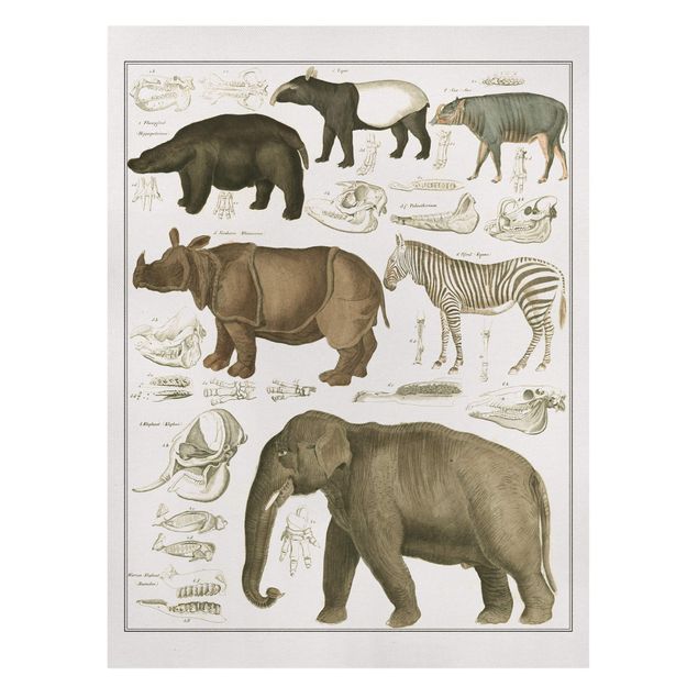 Landscape wall art Vintage Board Elephant, Zebra And Rhino