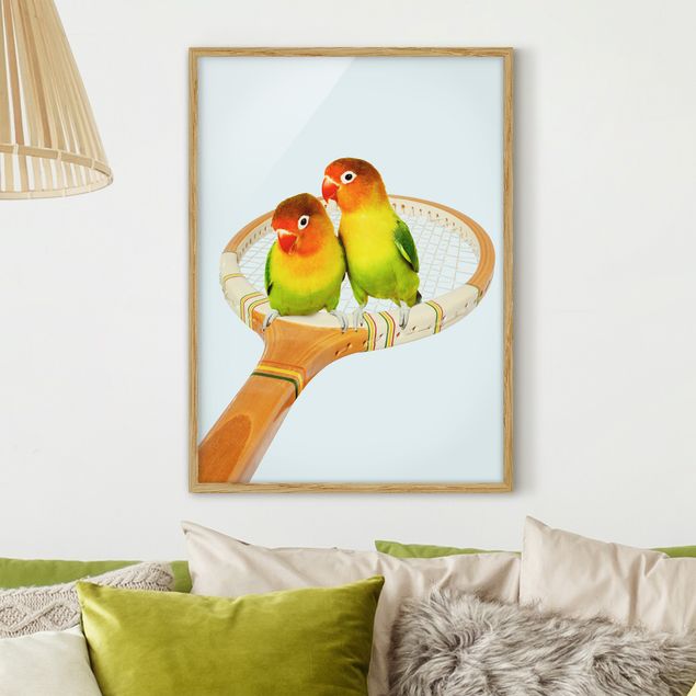 Kitchen Tennis With Birds