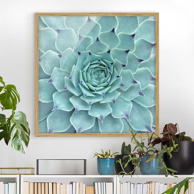 Floral canvas Cactus Agave