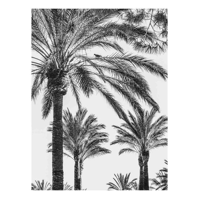 Floral canvas Palm Trees At Sunset Black And White
