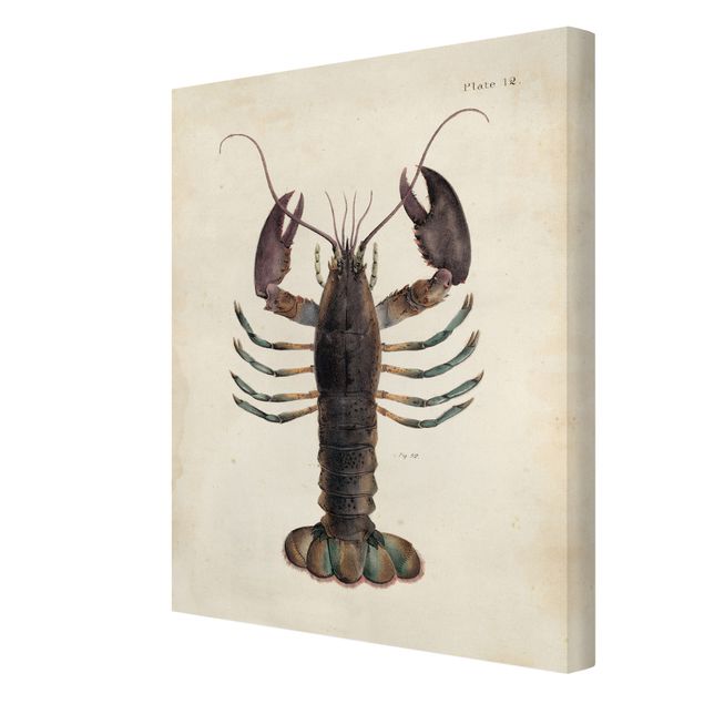 Prints Vintage Illustration Lobster