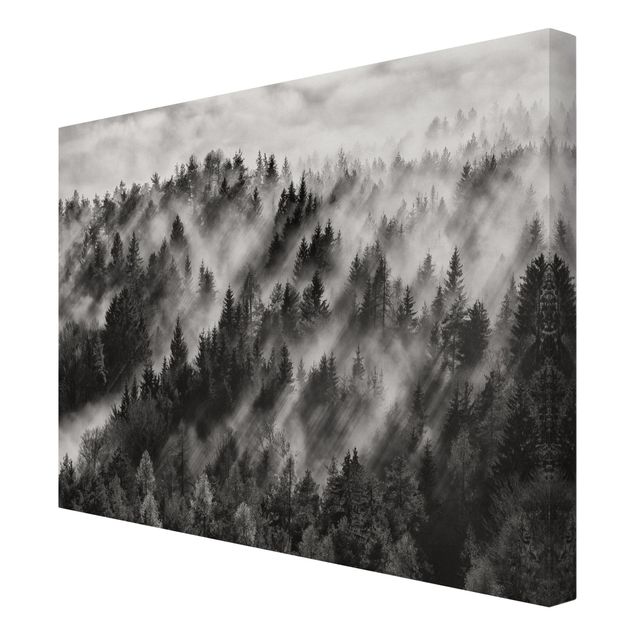 Canvas prints landscape Light Rays In The Coniferous Forest