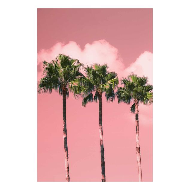 Prints flower Palm Trees Against Sky Pink