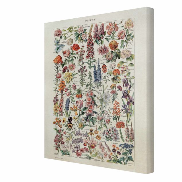 Prints multicoloured Vintage Board Flowers V