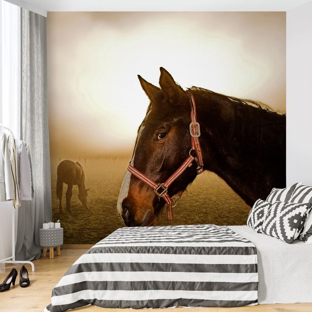 Wallpapers animals Early Horse