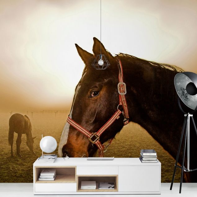 Wallpapers modern Early Horse