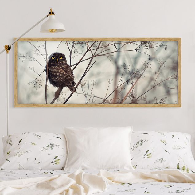 Animal wall art Owl In The Winter