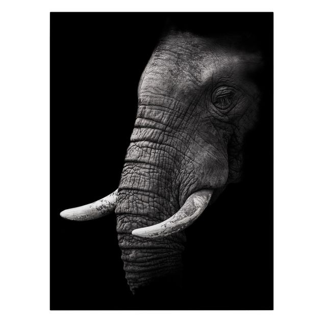 Canvas black and white Dark Elephant Portrait