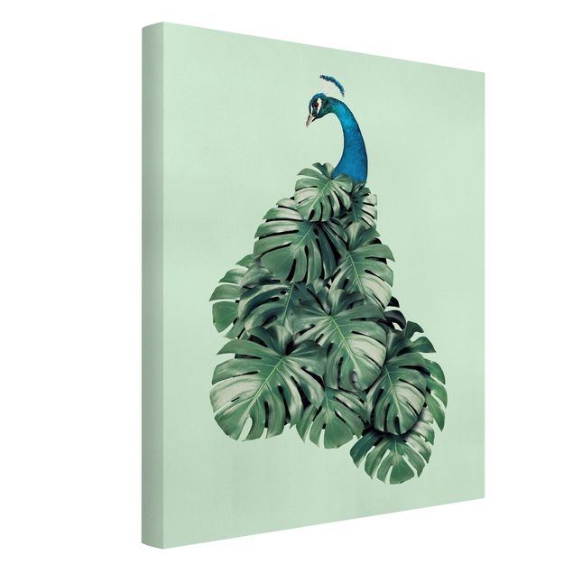 Canvas prints art print Peacock With Monstera Leaves