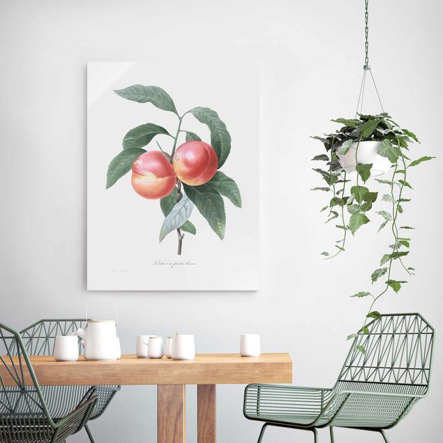 Glass prints flower Botany Vintage Illustration Peach