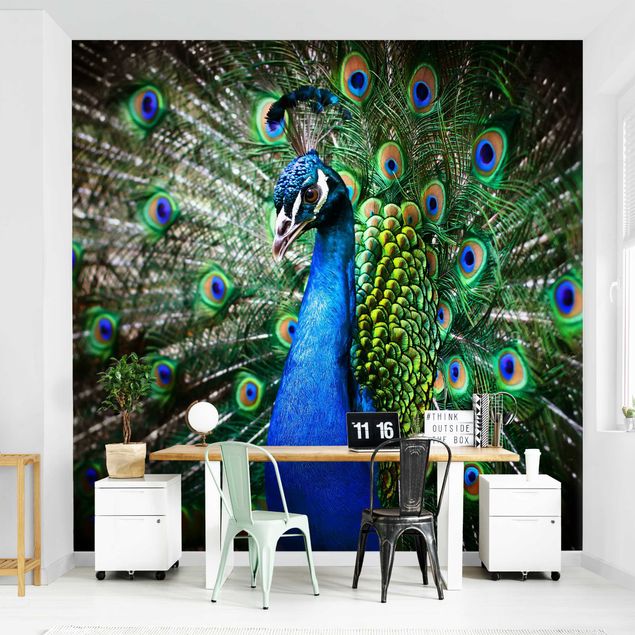 Contemporary wallpaper Noble Peacock