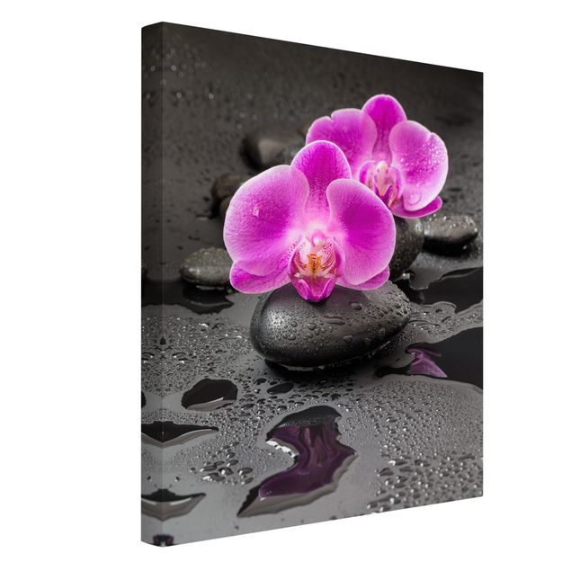 Canvas stone Pink Orchid Flower On Stones With Drops