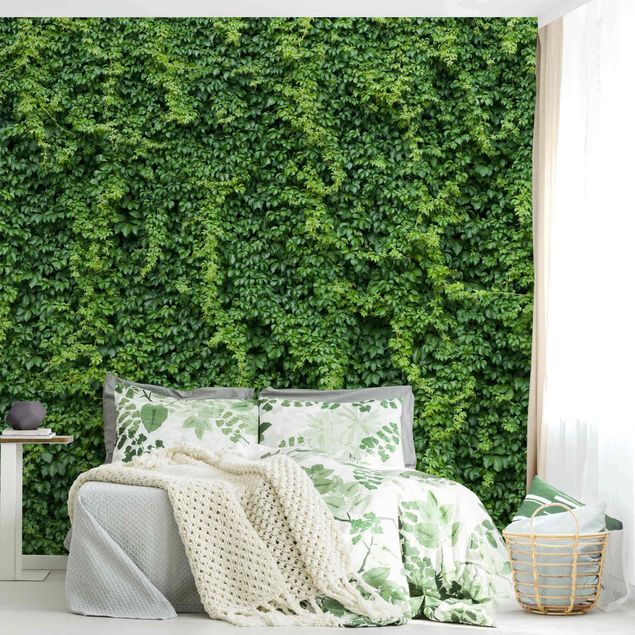 Floral wallpaper Ivy