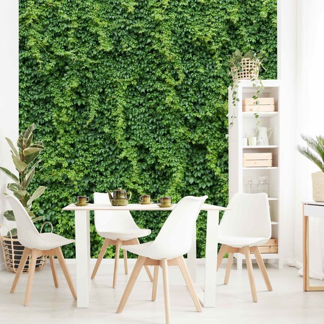 Contemporary wallpaper Ivy