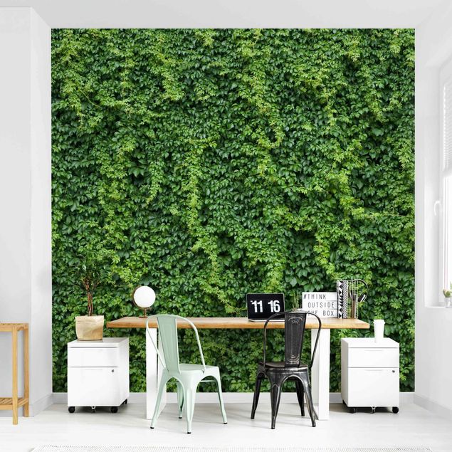 Wallpapers green Ivy