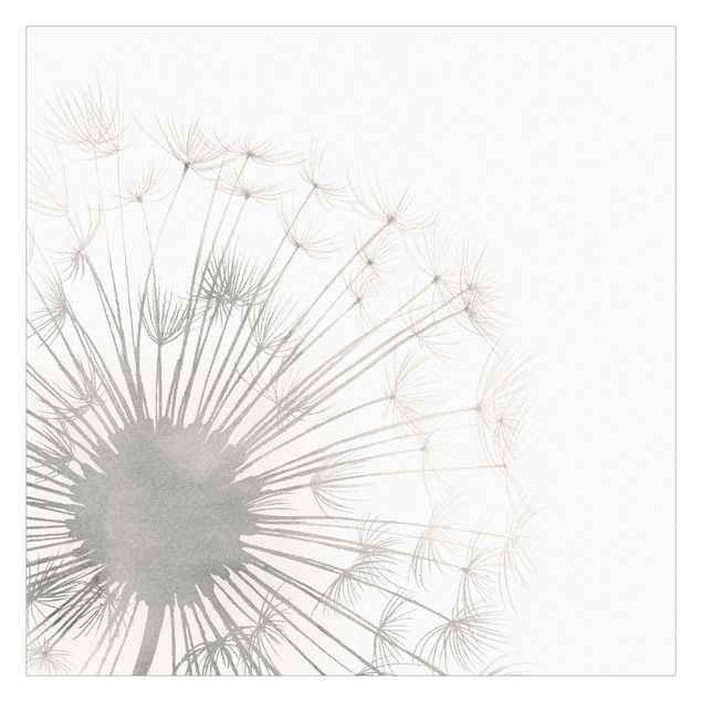 Wallpapers grey A Touch Dandelion