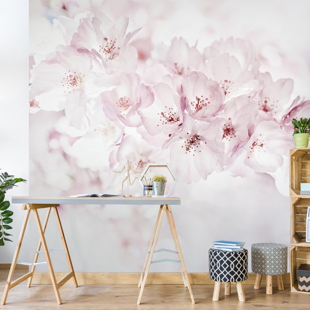 Country style wallpaper A Touch Of Cherry Blossoms