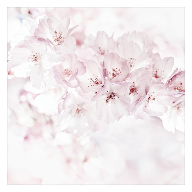 Monika Strigel Art prints A Touch Of Cherry Blossoms