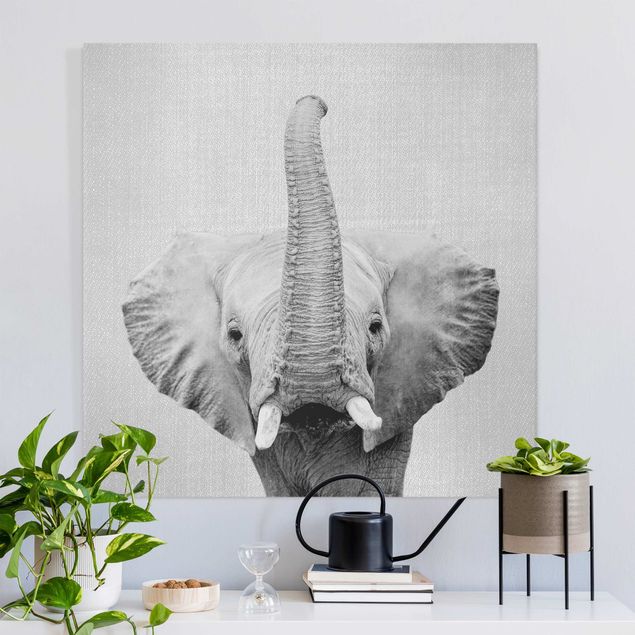 Canvas prints elefant Elephant Ewald Black And White