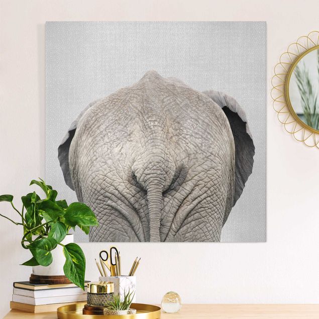 Canvas elefant Elephant From Behind