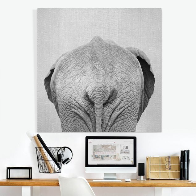 Canvas elefant Elephant From Behind Black And White