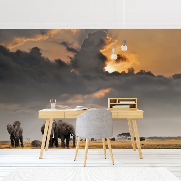 Wallpapers africa Elephants in the Savannah