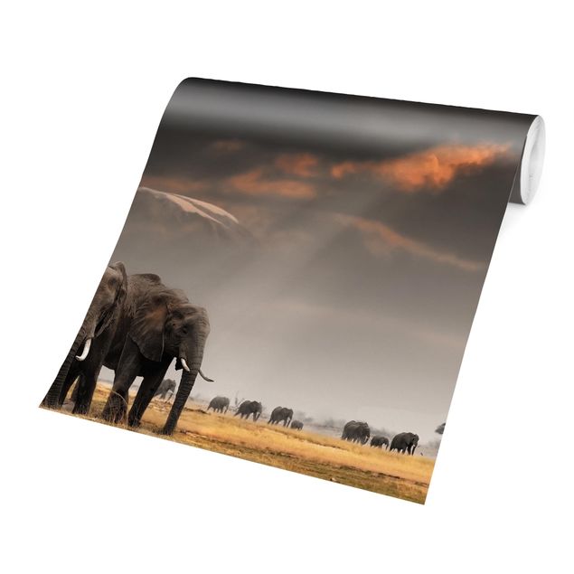 Contemporary wallpaper Elephants in the Savannah